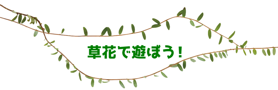 草花で遊ぼう！